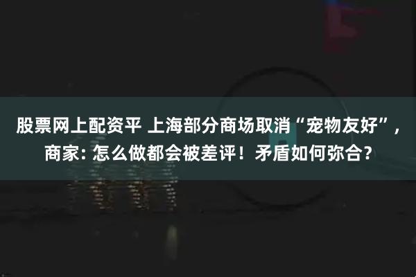 股票网上配资平 上海部分商场取消“宠物友好”，商家: 怎么做都会被差评！矛盾如何弥合？