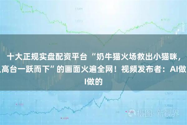 十大正规实盘配资平台 “奶牛猫火场救出小猫咪,从高台一跃而下”的画面火遍全网!视频发布者:AI做的