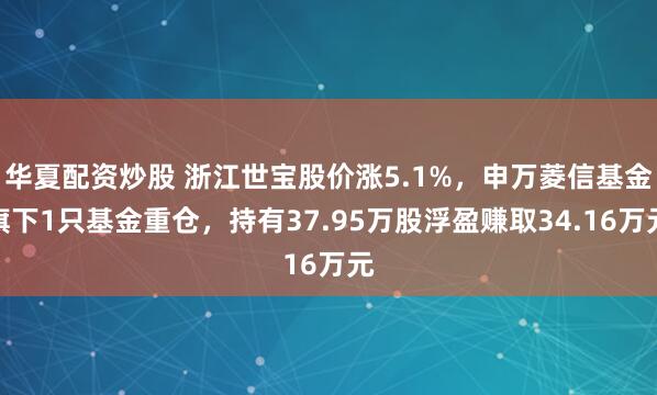 华夏配资炒股 浙江世宝股价涨5.1%，申万菱信基金旗下1只基金重仓，持有37.95万股浮盈赚取34.16万元