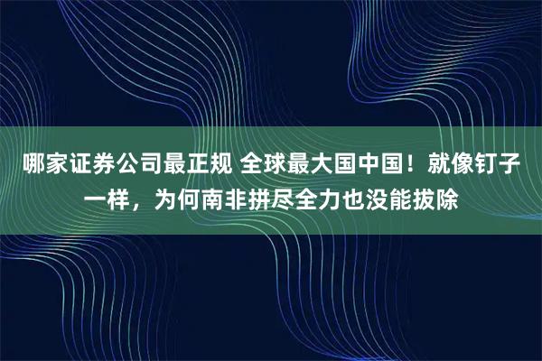 哪家证券公司最正规 全球最大国中国！就像钉子一样，为何南非拼尽全力也没能拔除