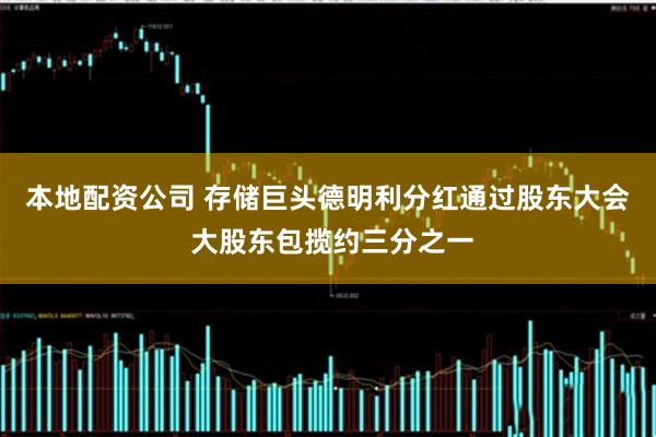 本地配资公司 存储巨头德明利分红通过股东大会  大股东包揽约三分之一
